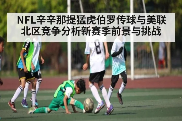 NFL辛辛那提猛虎伯罗传球与美联北区竞争分析新赛季前景与挑战 - 3377 SPORTS